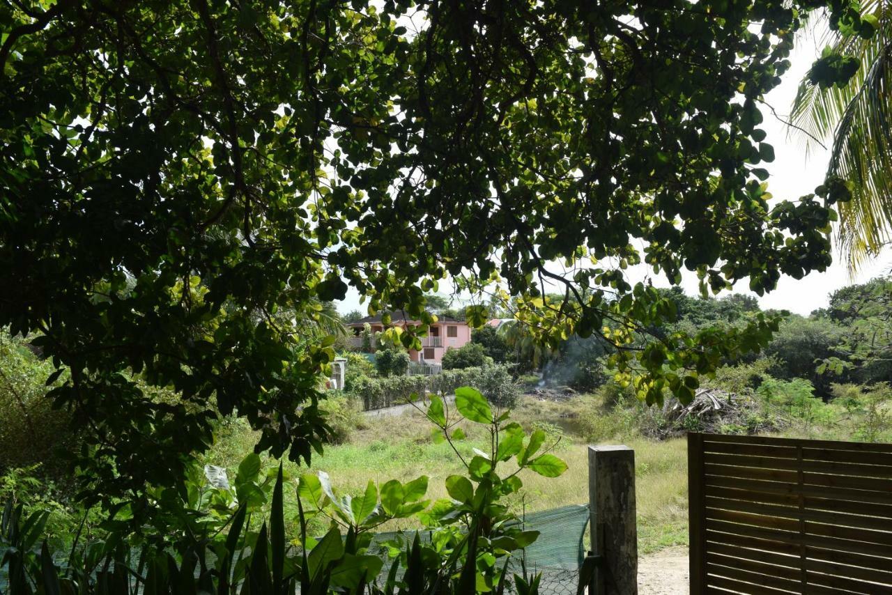 圣安尼Bungalows Les Vagues Abondes别墅 外观 照片