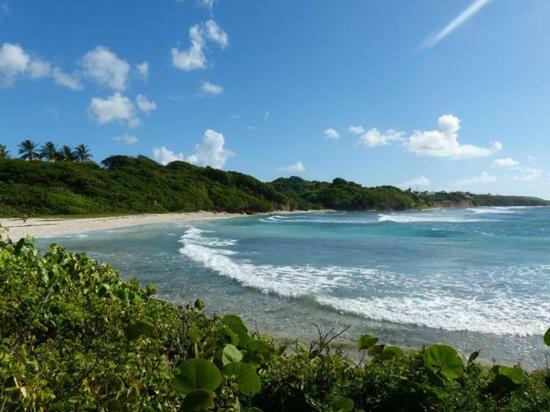 圣安尼Bungalows Les Vagues Abondes别墅 外观 照片